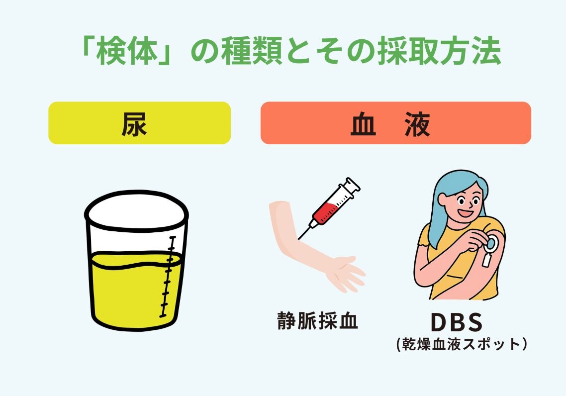 検体が尿の場合は尿の採取、血液の場合は静脈採取またはDBS（乾燥血液スポット）での採取